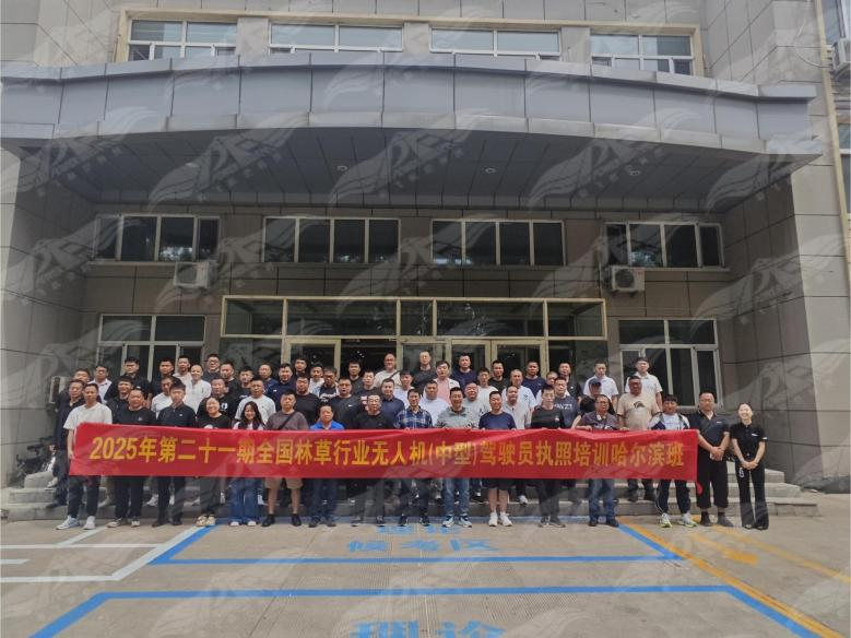 图片13