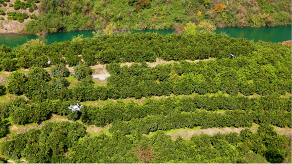 广州哪里有无人机培训学校？专业机构推荐与选择指南