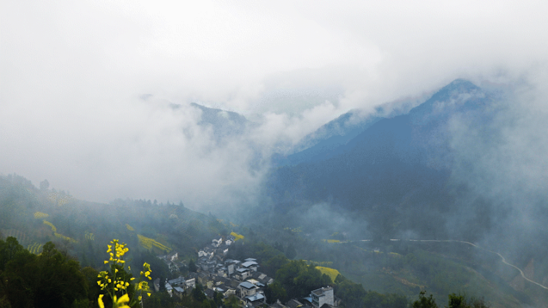 大雾天气