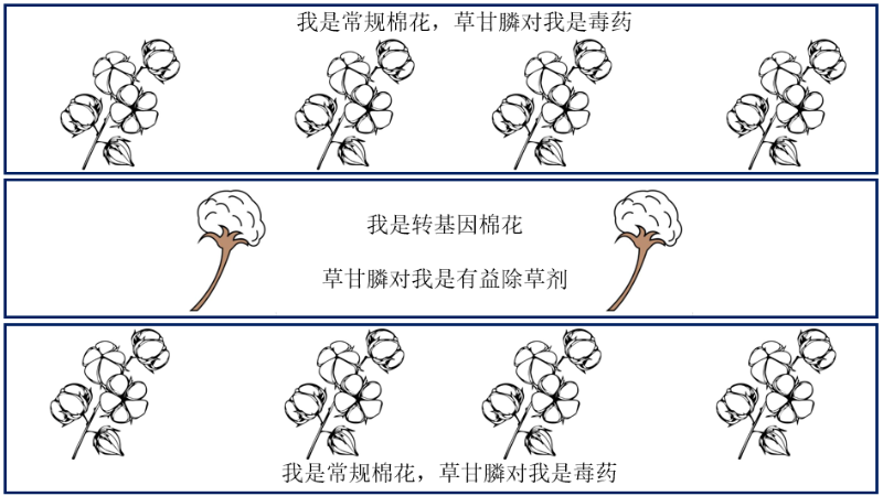 风险