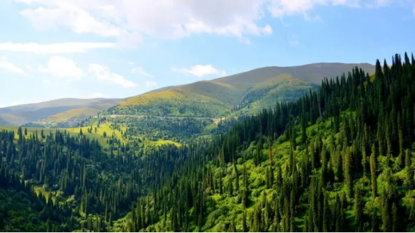 2026年无人机证书考试全攻略：从入门到拿证一篇看懂