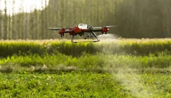 行业应用|探索无人机在林业中的场景应用