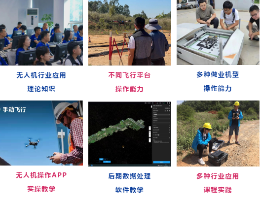 数字实战人才