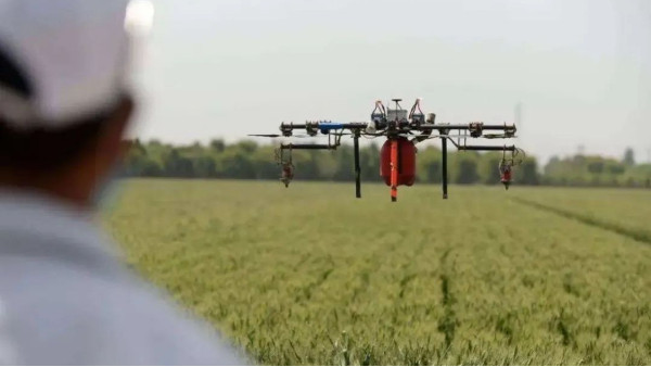 无人机植保优势明显，助力农业生产“加速度”