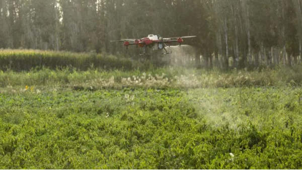 caac无人机驾驶证官网报考全攻略：从入门到合规飞行